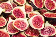 Load image into Gallery viewer, Fig Tree Cuttins(Ficus carica), Sweet Fruit Shrub