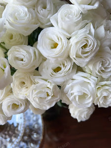 Lisianthus Seeds