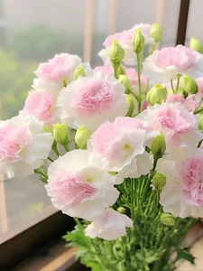 Lisianthus Seeds