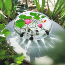 Load image into Gallery viewer, 🌸7 Days germination🌸Last Day Sale - 49% OFF💐The Sacred Bonsai Bowl Lotus Flower